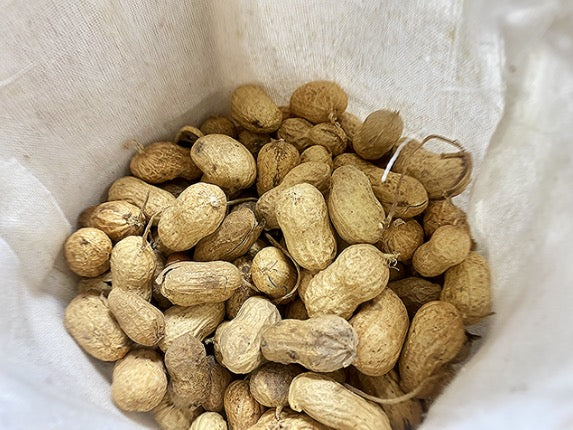 Peanuts - Crock-Pot Boiled